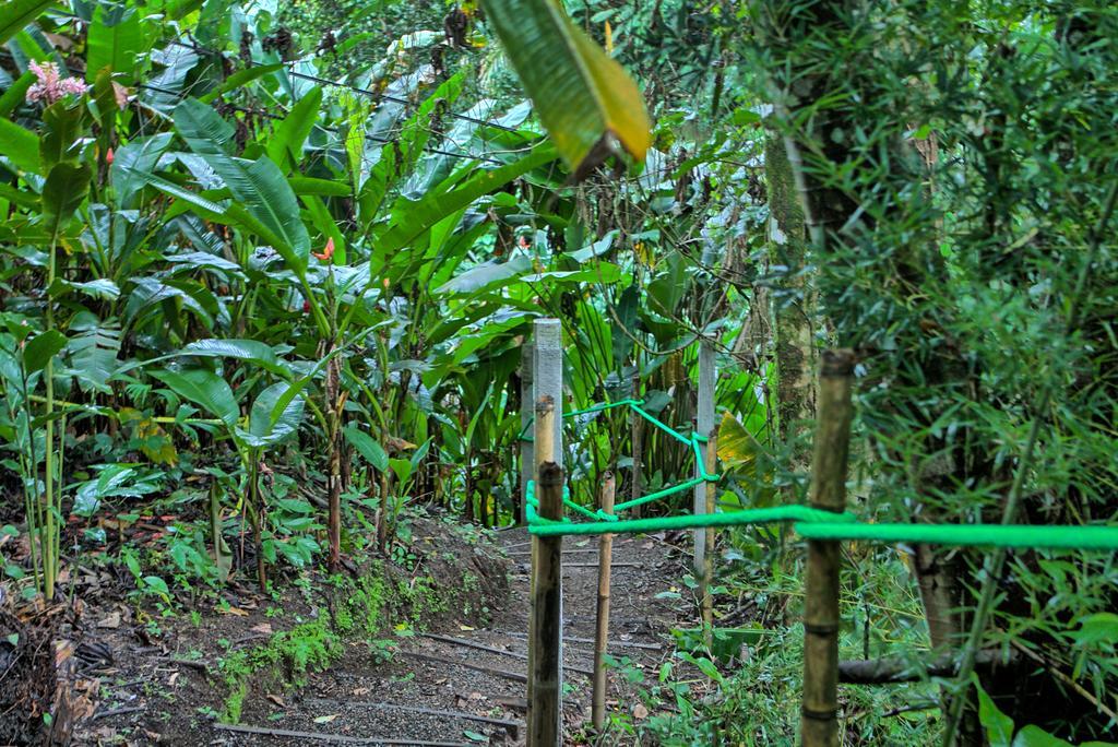 La Fortuna Hotel Mountain Paradise מראה חיצוני תמונה